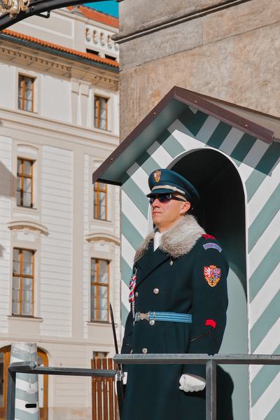 Czech Soldier