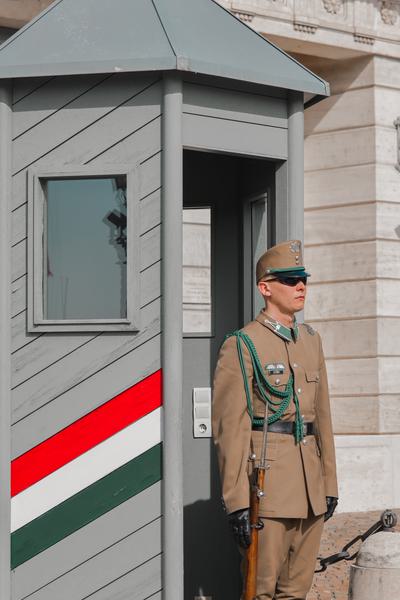 Hungarian Soldier